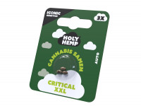 HOLY HEMP Cannabis Samen, 3 Stk Sorte: Critical XXL HOLY HEMP Cannabis Samen, 3 Stk Sorte: Critical XXL